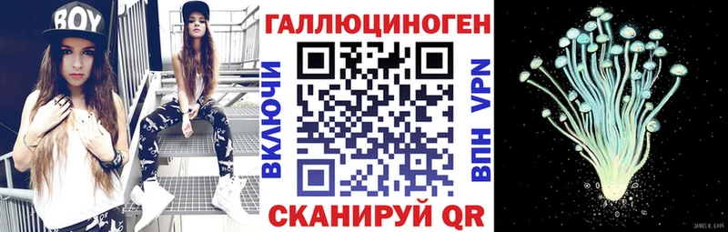 магазин наркотиков Шенкурск Псилоцибиновые грибы мицелий
