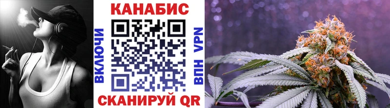 где продают   Шенкурск  Шишки марихуана Amnesia 